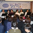 새솔 이미지