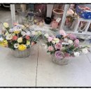 로하플라워 | 울산 꽃다발/울산 꽃집/로하플라워 꽃집♥♥