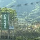 청도 애견카페 : ppbp (피피비피, 대구 근교 애카 추천)