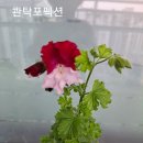 여장군 - 파주시 | 여장군