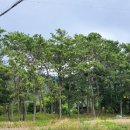 고산윤선도유물전시관(휴관) 이미지