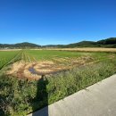 노화읍-6 이미지