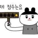 에스와이오토글래스 이미지