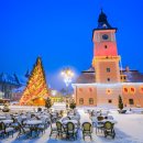 크리스마스 트리 이미지