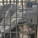 뉴로동물의료센터 이미지