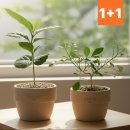 자스민커피 - 금정구 부산대학로64번길 10 | 자스민커피