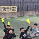 머스트해브팔라시오필드