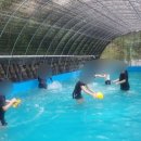 풀내음쉼터 이미지