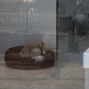몽시떼루 네이버블로그