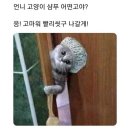 훌랄라참숯바베큐 이미지