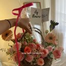 입석1구 | 시부모님 첫인사💐 (with KTX 청룡 열차)