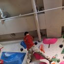 종로파크 이미지