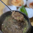 알콩제주 | 제주태교여행, 3일차 상세 리뷰 &#39;제주의 맛과 멋 그리고 5성급 호텔에서의 완벽한 휴식&#39;
