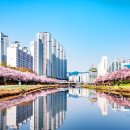 더나아짐 네이버블로그