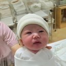 메디퀸스