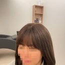 모모란