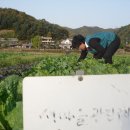 새마을농장 이미지