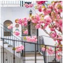 가평산토리니 이미지