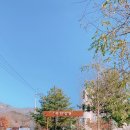사진정원