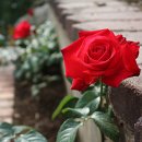 (주)혜우 이미지