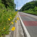 철마농장 이미지