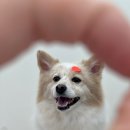 디어마이모모 이미지