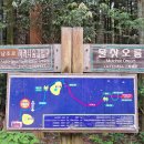 남조로 사려니숲길입구 이미지