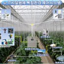 유동농장 이미지