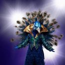 [The Masked Singer] 한 벌 제작하는데 2억이상 들어간 미국판 복면가왕 의상 이미지