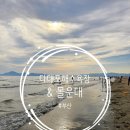 몰운대입구 공중화장실 | [공지] [부산] <다대포해수욕장> 갔다가 <몰운대> 까지 돌아보고 왔어요(주차, 꿈의 낙조분수, 모래놀이...