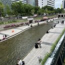 청계수족관 | 관철동 대물섬 종로점 1% 대광어 숙성회와 소금김밥
