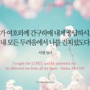 오늘의 '영어성경 사진'(748강) “주님을 찾으세요”(시편 34편 4절) 이미지