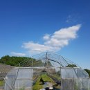 산의농장 이미지