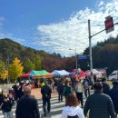 화암로 | [대구 수목원 국화축제 2025] 지금이 절정! 마지막 날 다녀온 솔직 후기 🌼