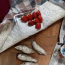 황토펜션 | 몽산포 황토펜션 후기