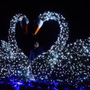 강변공원주차장 이미지