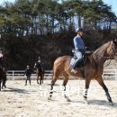 산청승마장 이미지