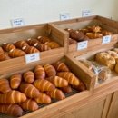 꼬솜제과 이미지