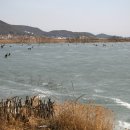 분오리 저수지 이미지