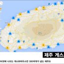 현재게스트하우스 이미지