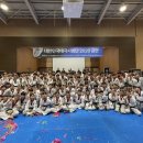 대한민국 태극시범단 이미지