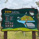 율하2지구_모산공원산책로 네이버블로그