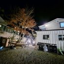 펜션 이상한 앨리스 이미지