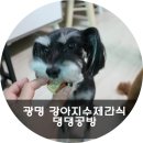 댕댕공방 이미지
