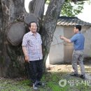 소미마을회관 이미지