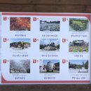 떳다김밥천국 이미지