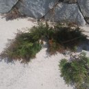 천덕슈퍼 이미지