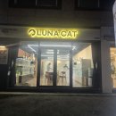 루나동물병원 | 혈통있는 예쁜 고양이를 분양하시려면 "루나켓 대전고양이분양 본점"