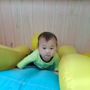 이레몬테소리어린이집 | 레오가 걸었어요 ㅋㅋ feat. (워킹맘이 얼집과 콜라보하는 자세에 대하여)