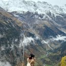 뽑아가세용 이미지